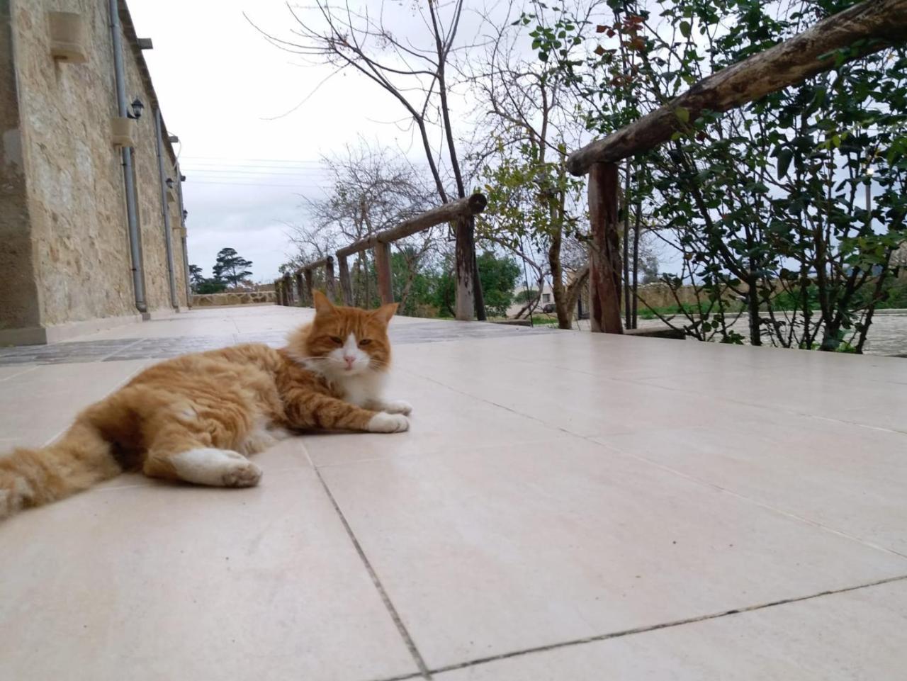 Revakli Ev Guest House Rizokarpaso Kültér fotó